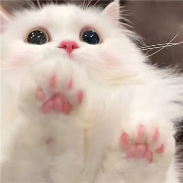 Ảnh đại diện Văn Nam